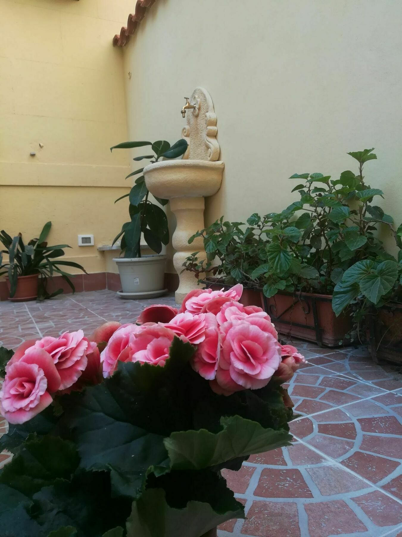 Affittacamere Le Rose Del Viale Palermo